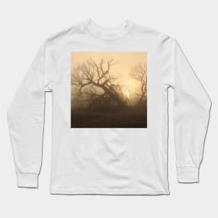 Trees in the Mist Long Sleeve T-Shirt
